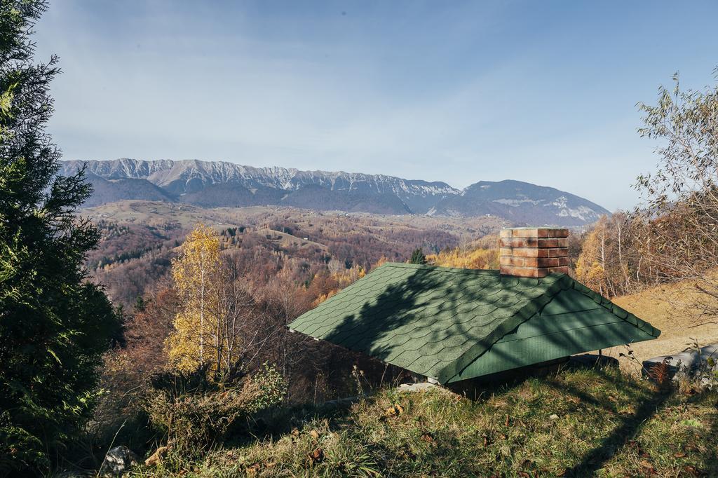 Drumul Carului Villa Моєчу-де-Жос Номер фото