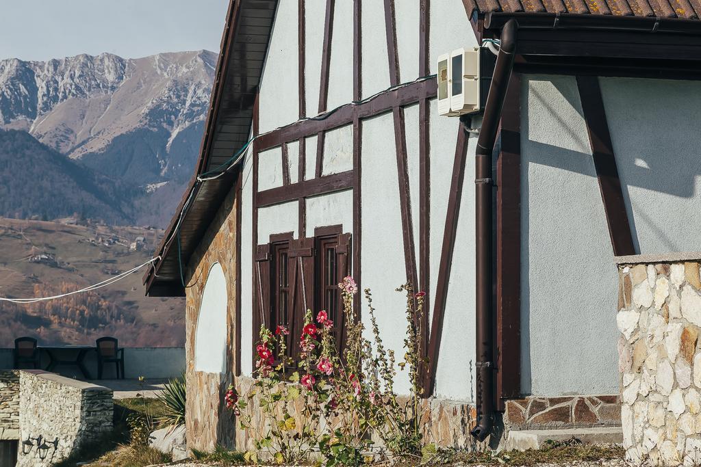 Drumul Carului Villa Моєчу-де-Жос Екстер'єр фото