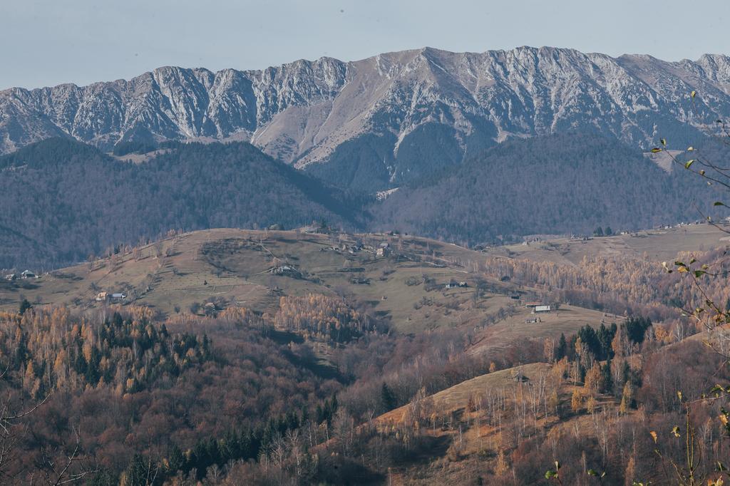 Drumul Carului Villa Моєчу-де-Жос Номер фото