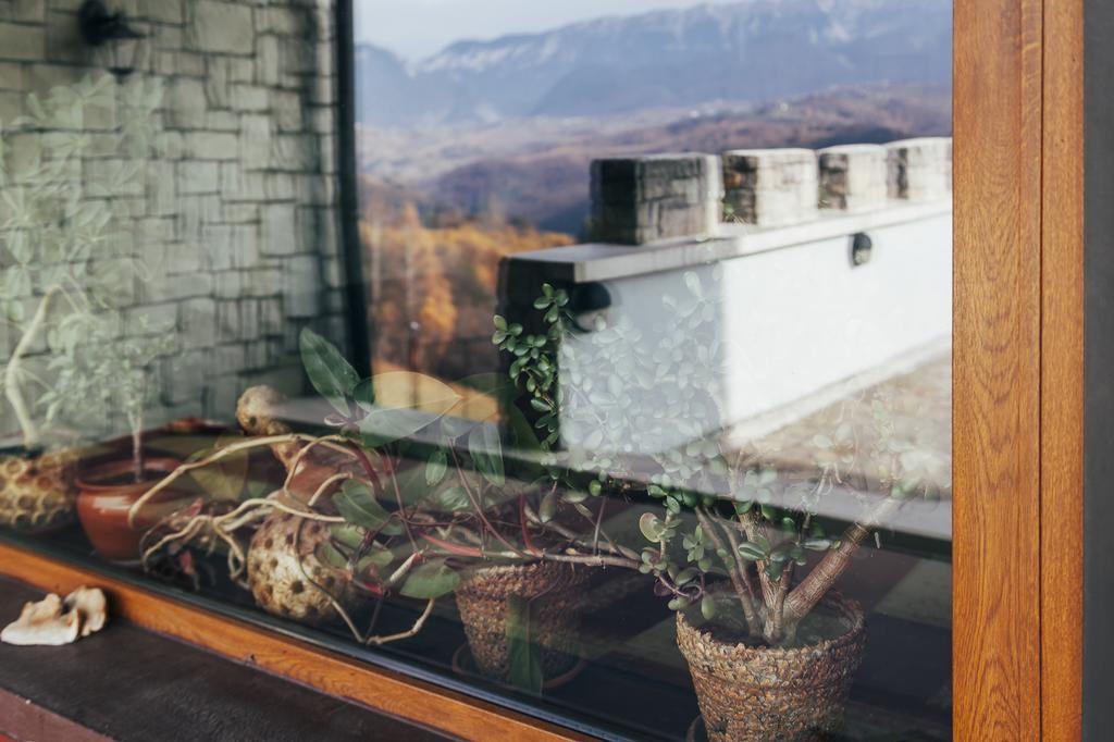 Drumul Carului Villa Моєчу-де-Жос Екстер'єр фото